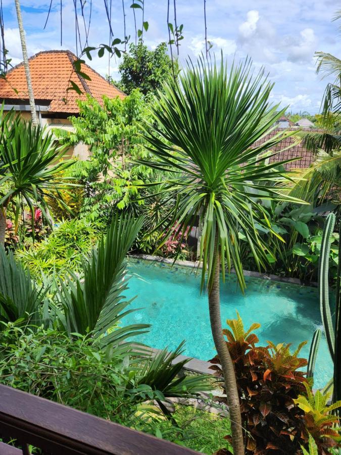 Buda Amitaba Ubud Exterior foto